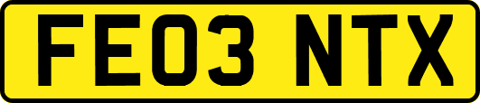 FE03NTX