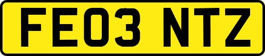 FE03NTZ