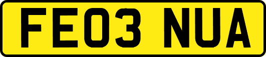 FE03NUA