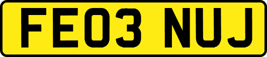 FE03NUJ