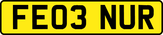 FE03NUR