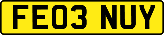 FE03NUY