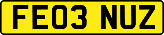 FE03NUZ