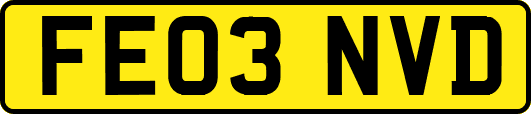FE03NVD