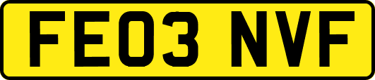 FE03NVF