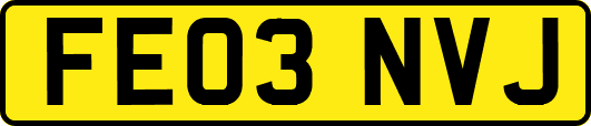 FE03NVJ