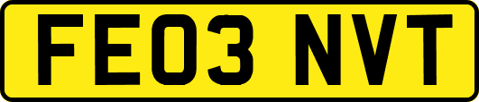 FE03NVT