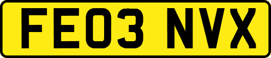 FE03NVX