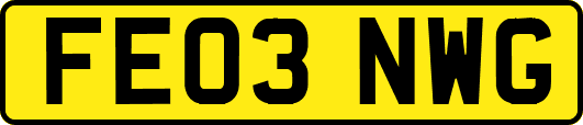 FE03NWG