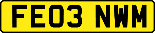 FE03NWM