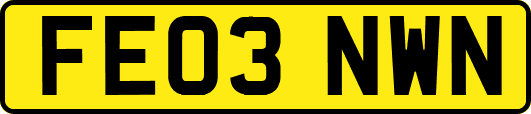 FE03NWN