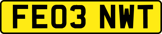 FE03NWT