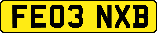 FE03NXB