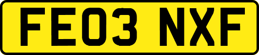 FE03NXF