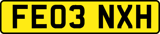 FE03NXH