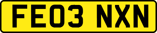FE03NXN