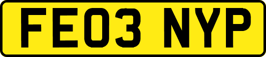 FE03NYP