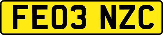 FE03NZC