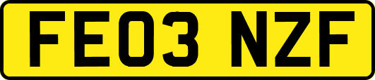 FE03NZF