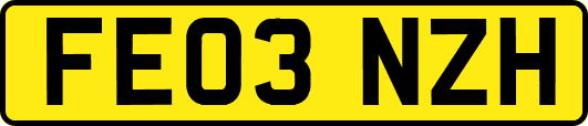 FE03NZH