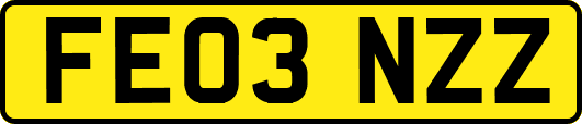 FE03NZZ
