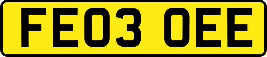 FE03OEE