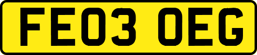 FE03OEG