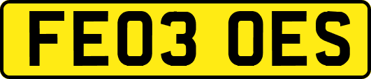 FE03OES