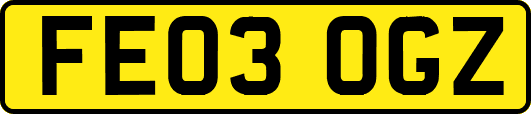 FE03OGZ
