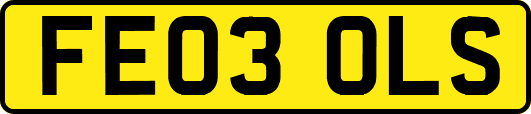 FE03OLS