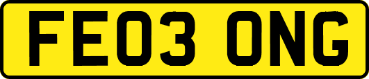 FE03ONG
