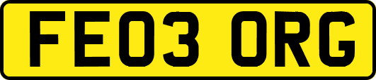 FE03ORG