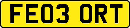 FE03ORT
