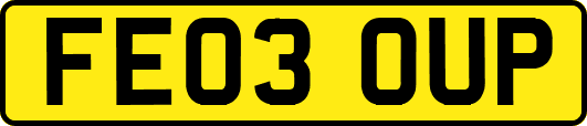 FE03OUP