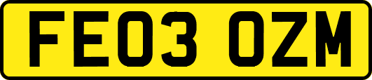 FE03OZM