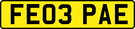 FE03PAE