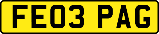 FE03PAG