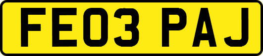 FE03PAJ