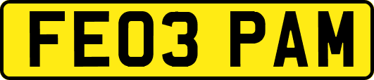 FE03PAM