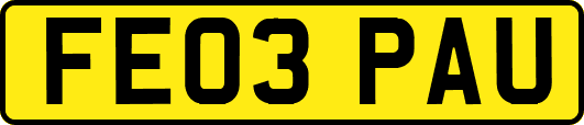 FE03PAU
