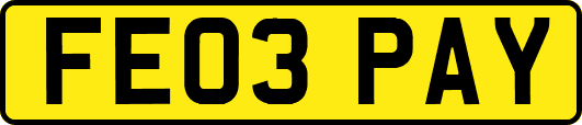 FE03PAY