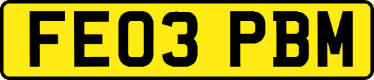 FE03PBM