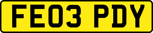 FE03PDY
