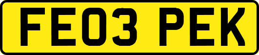 FE03PEK