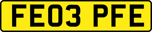 FE03PFE