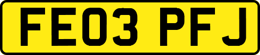 FE03PFJ
