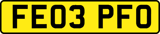FE03PFO
