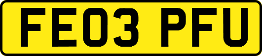 FE03PFU