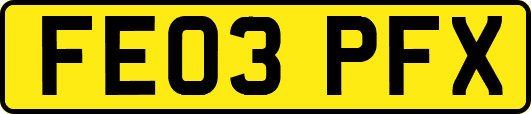 FE03PFX