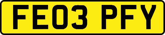 FE03PFY